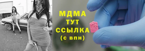 стаф Алексин