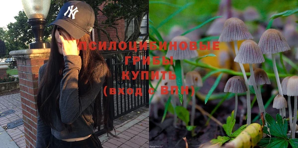 шишки Семикаракорск