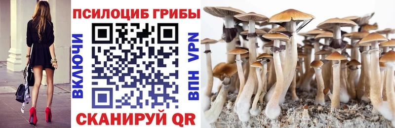 Галлюциногенные грибы MAGIC MUSHROOMS  что такое наркотик  Холм 